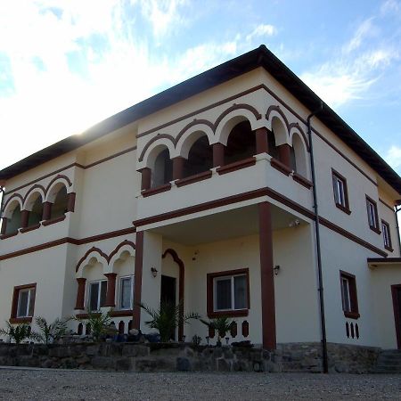 Vila Phoenix Călimăneşti Exteriör bild