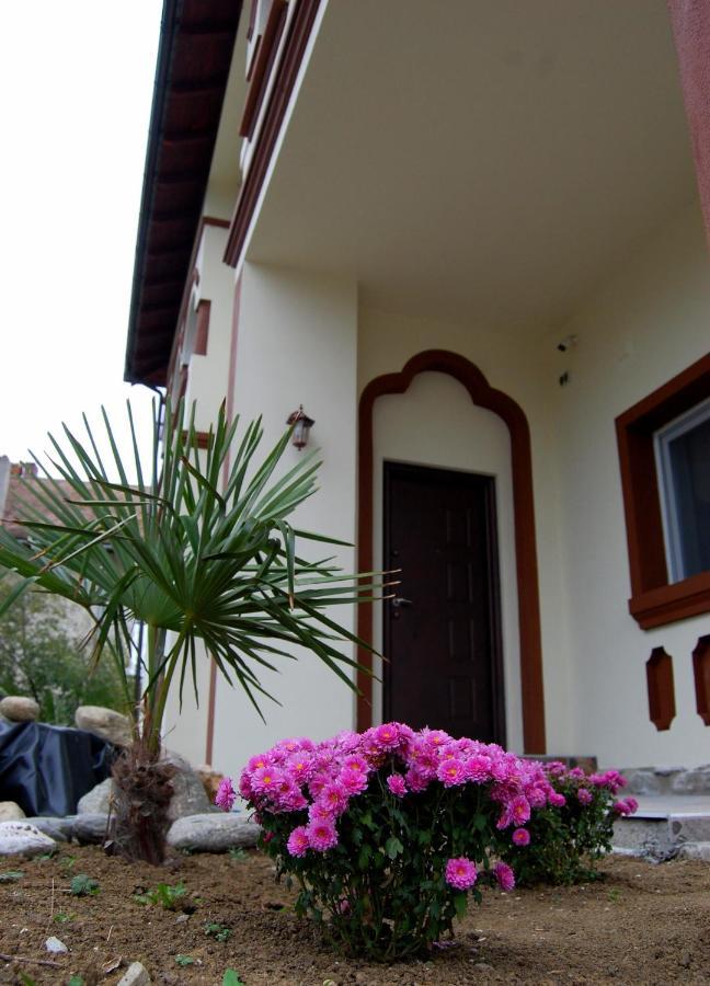 Vila Phoenix Călimăneşti Exteriör bild