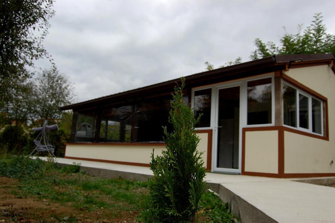 Vila Phoenix Călimăneşti Exteriör bild