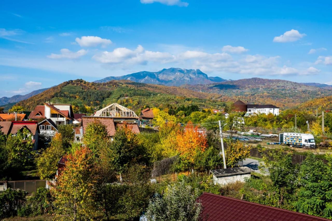Vila Phoenix Călimăneşti Exteriör bild