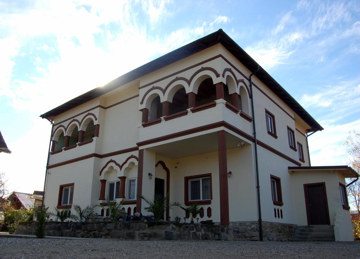 Vila Phoenix Călimăneşti Exteriör bild