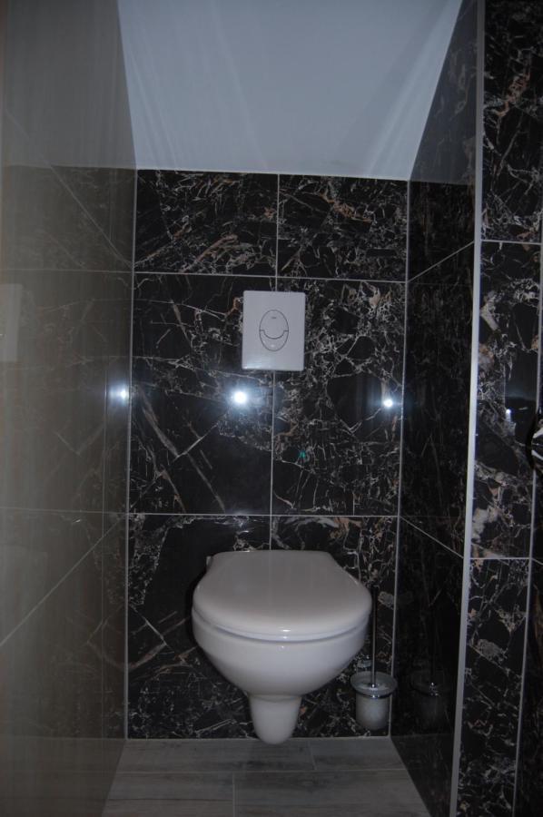 Vila Phoenix Călimăneşti Exteriör bild