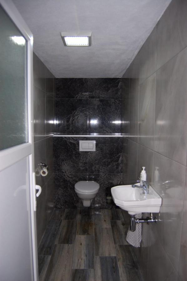 Vila Phoenix Călimăneşti Exteriör bild