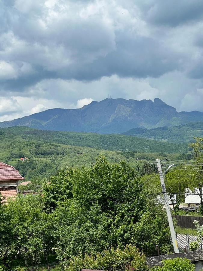 Vila Phoenix Călimăneşti Exteriör bild